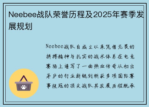 Neebee战队荣誉历程及2025年赛季发展规划